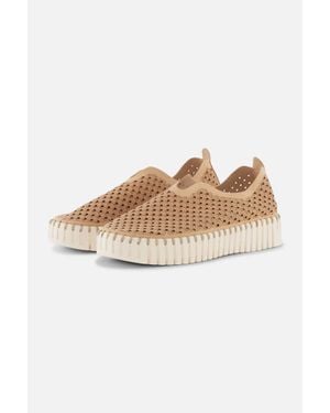 Ilse Jacobsen Tulip Slip On Shoe - Multicolor