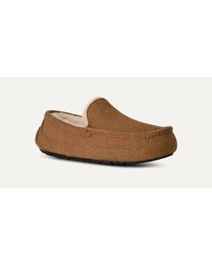 UGG Ascot 1101110W-Che Slippers Chestnut Suede Wool Lined Moc Toe Gug304 - Black
