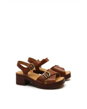 Born Bella Sandal - Brown