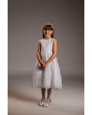 Petite Adele Christi Lace Dress - Gray