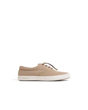 Sperry Top-Sider Fairlead Cvo Sneaker - Natural