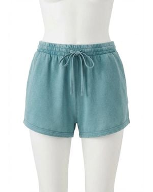 Z Supply Domingo Shorts - Blue