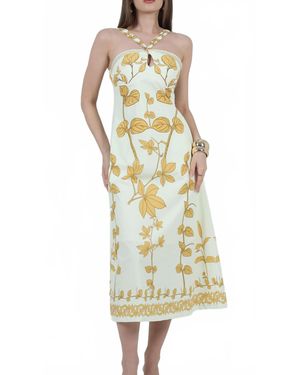 Aylaya Zoey Printed Halter Neck Maxi Dress - Multicolor