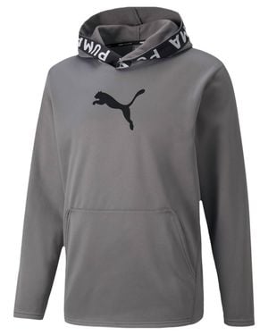 PUMA Train Powerfleece Logo Hoodie - Gray