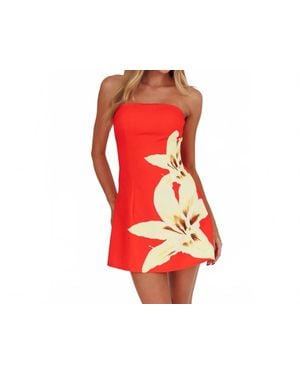 One And Only Collective Vibrant Floral Mini Dress - Red