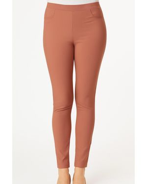 French Kyss Straight Leg Jeggings - Orange