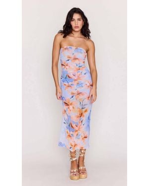 MINKPINK Sunspell Mesh Midi Dress - Multicolor