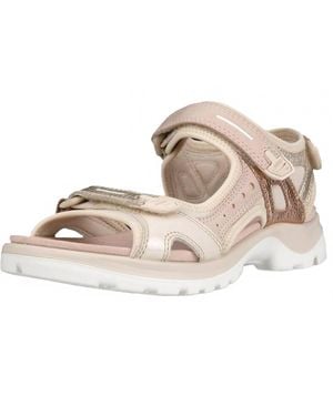 Ecco Offroad Sandals - Gray