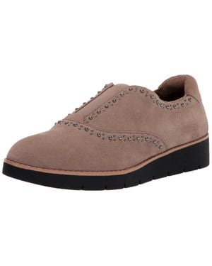 Anne Klein Abbe Taupe Abbe01F9-254 - Brown