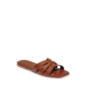 Bernardo Oxford-05 Slides - Brown