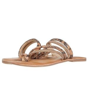 Chinese Laundry Solar Sandals Leather Toe Loop Slip On Gal1062 - Brown