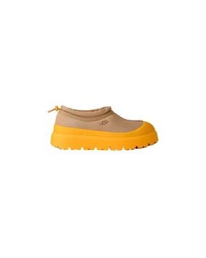 UGG Tasman Weather Hybrid Mustard Seed Summer Wheat 1144096-Mmm - Yellow