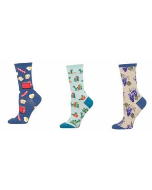 Socksmith Good Morning & Bookworm & One Fine Vine Socks - Black