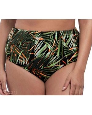 Elomi Amazonia Bikini Bottom - Green