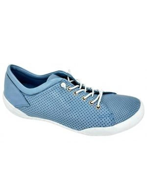 Gelato Teejay Sneaker - Blue