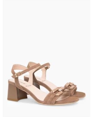 Nero Giardini Suede Buckle Low Heel - Pink