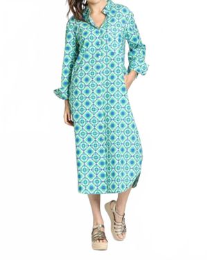 Apny Printed Shirt Dress - Blue