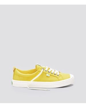 CARIUMA Oca Low Sneakers Canvas Comfort Casual Shoes Zap1810 - Yellow