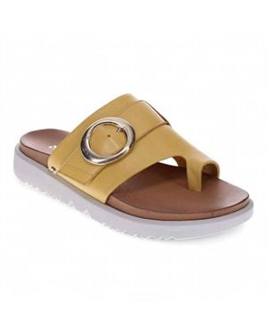 Revere Biscay Sandal - Brown