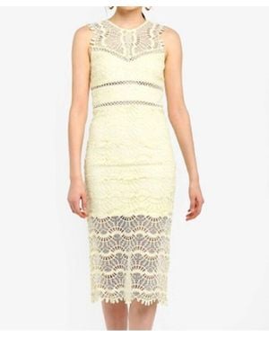 Bardot Mariano Lace Sleeveless Halter Cocktail Dress - Natural