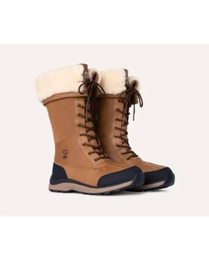 UGG Adirondack Tall Boot - Brown