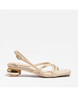 Circus by Sam Edelman Caia Low Heel Strappy Sandal - Natural