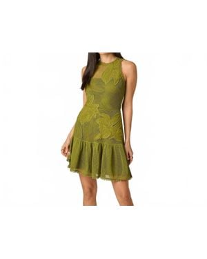 Adrianna Papell Cotton Mesh Floral Short Dress - Green