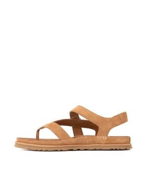 UGG Goldengaze Toe Post Sandal - Brown