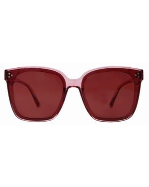 Suzy Levian Light Oversize Square Lens Accent Sunglasses - Red