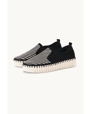 Ilse Jacobsen Tulip 3876 Shoe - Black