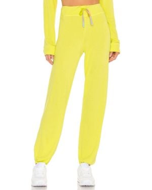 Sundry Basic Sweatpants - Yellow