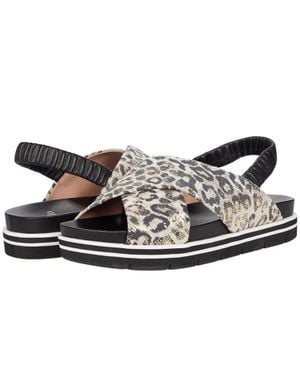 Linea Paolo Rhea Sandals Leather Round Toe Slingback Zap746 - Brown