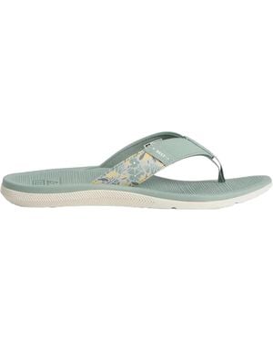 Reef Santa Ana Frosty Cj6474 - Green