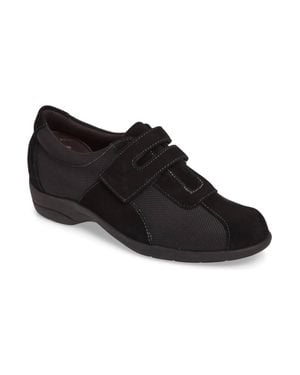 Munro Joliet Sneaker - Black