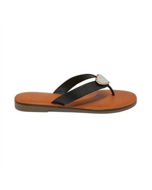 Brighton Amigo Flat Thongs Sandal - Brown