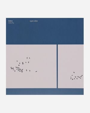 Public Possession Cycli Infini Vinyl - Blue