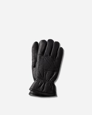 Carhartt Fonda Gloves - Black