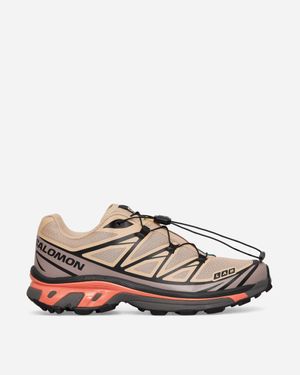 Salomon Xt-6 Trainers Hazelnut / Quail / Living Coral - Brown