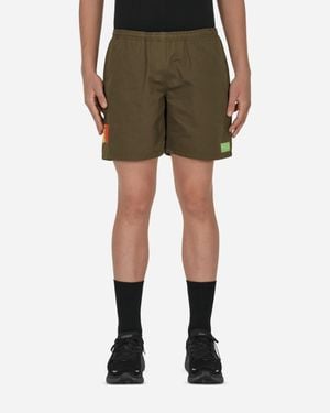 Mister Green Water Shorts - Green
