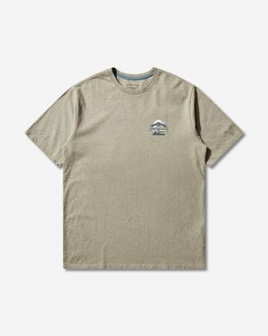 Patagonia S Great Waves Responsibili T-Shirt Gumtree - Grey