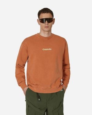 Capsule Classic Logo Crewneck Sweatshirt Rust - Orange