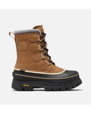 Sorel Caribou Horizon Gtx - Brown
