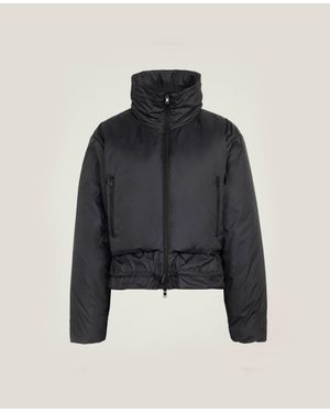 Stella McCartney Padded Liner Jacket - Blue