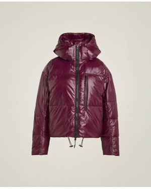 Stella McCartney Adidas By Padded Winter Jacket - Purple