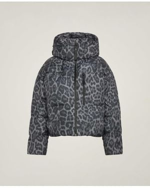 Stella McCartney Adidas By Printed Padded Winter Jacket - Gray