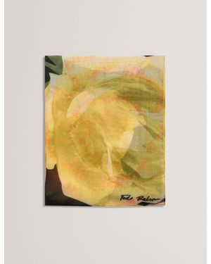 Ted Baker Lilaz - Yellow