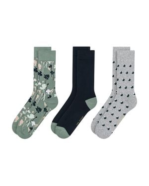 Ted Baker 3 Pack Floral Dot Cotton Blend Socks - Blue