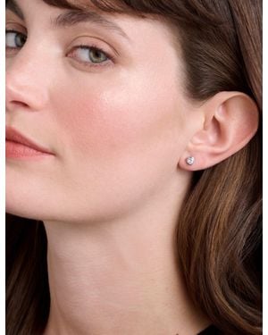 Ted Baker Harmonys Mini Crystal Heart Stud Earrings - Pink