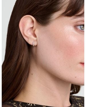 Ted Baker Hetties Crystal Huggie Hoop Earrings - Brown