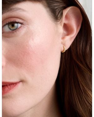 Ted Baker Hettieg Crystal Huggie Hoop Earrings - Metallic